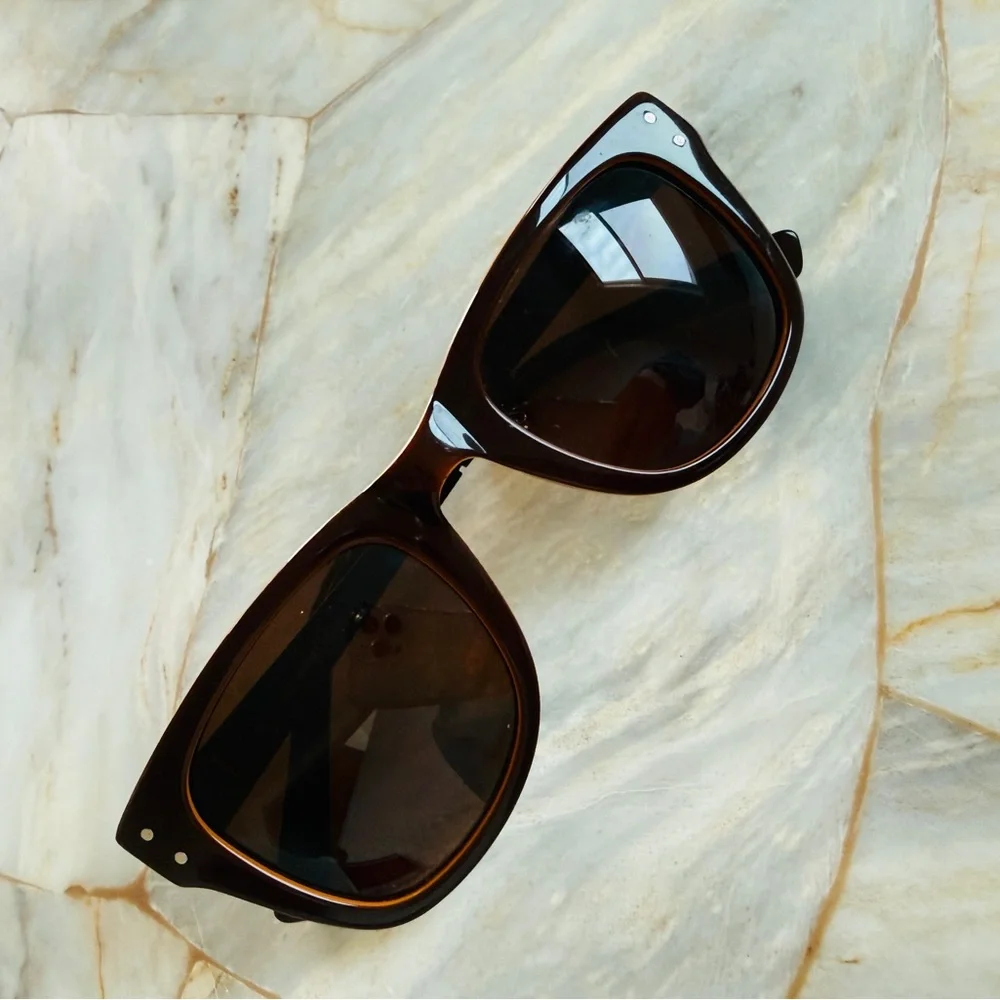 Classic Men's Wayfarer Sunglasses in Dark Brown